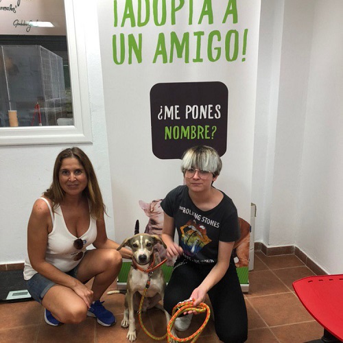 ¡Solaris adoptado!