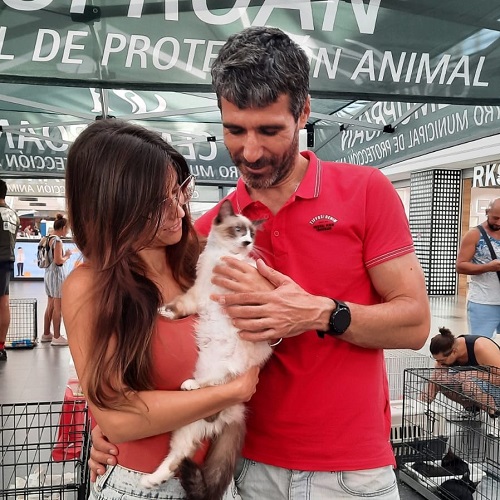 ¡Sonora adoptada!