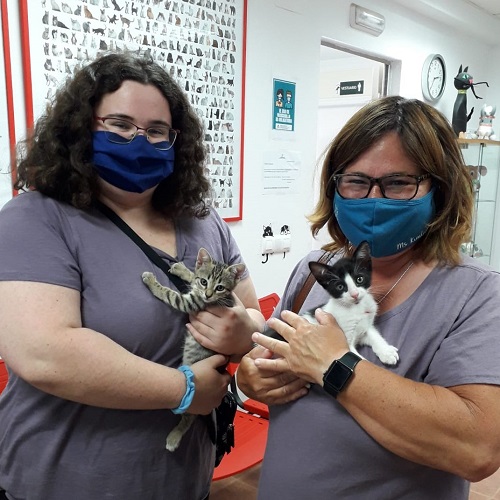 ¡Suria y Jura adoptados!
