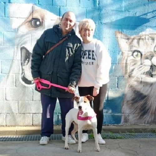 ¡Suvi-Duna adoptada!