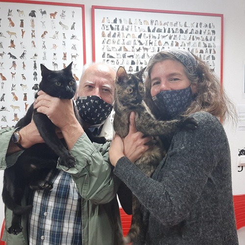 ¡T37 y Zorba adoptados!