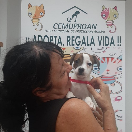 ¡Tanis adoptada!