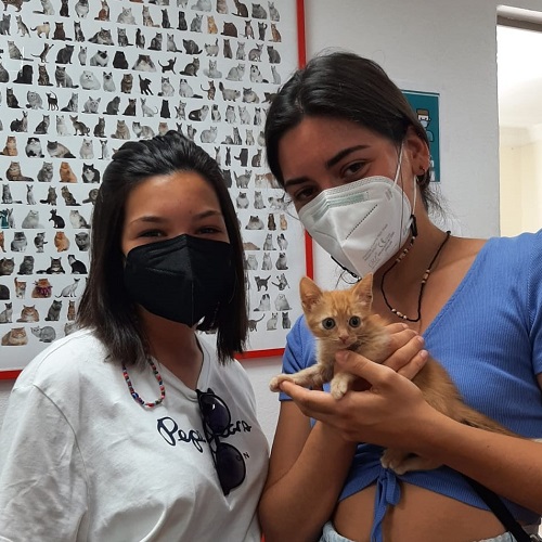 ¡Tapona adoptada!