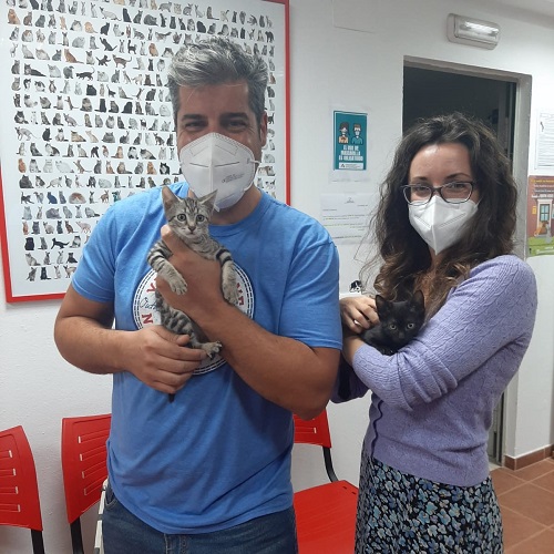 ¡Tato y Zal adoptados!