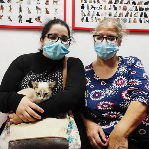 ¡Tensián adoptado!