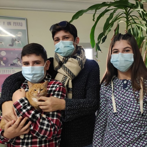 ¡Tevi adoptado!