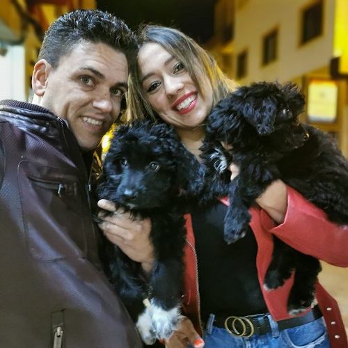 ¡Thor y Halley adoptados!