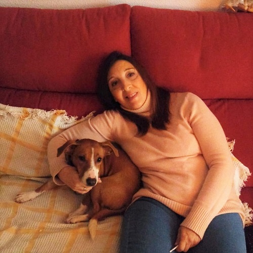 ¡Tierra adoptado!
