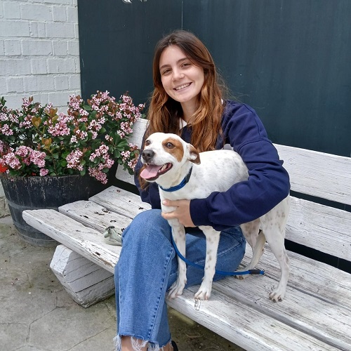 ¡Tobi adoptado!