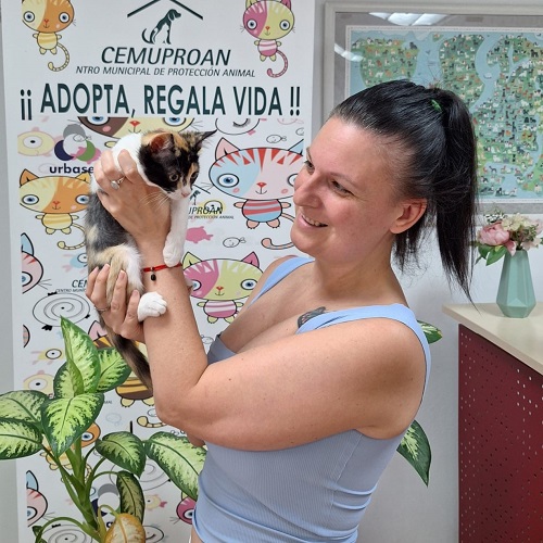 ¡Toffe Top adoptada!
