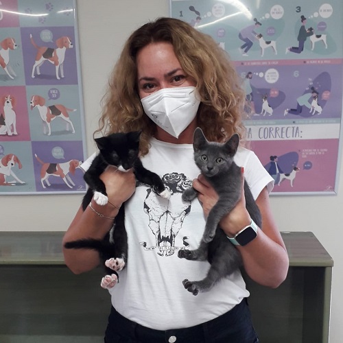 ¡Tofu y Requesón adoptados!