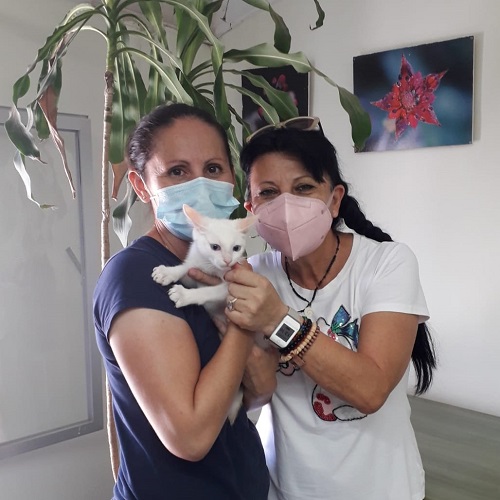 ¡Toja adoptado!