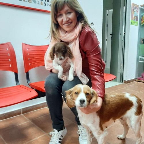 ¡Torcaz y Perdiz adoptadas!