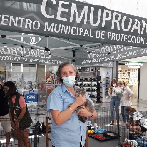 ¡Torrija adoptada!