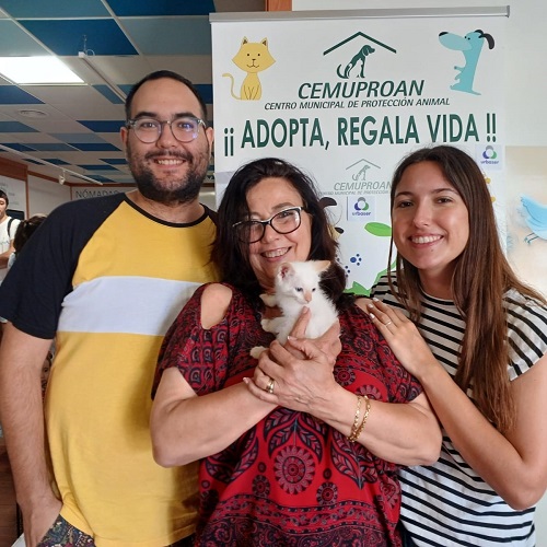 ¡Toshie adoptado!