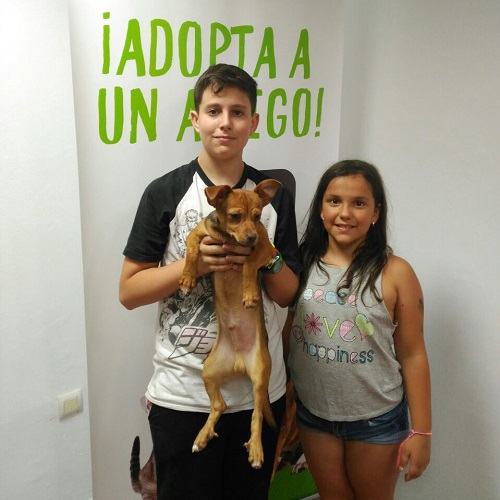 ¡Tovar adoptado!