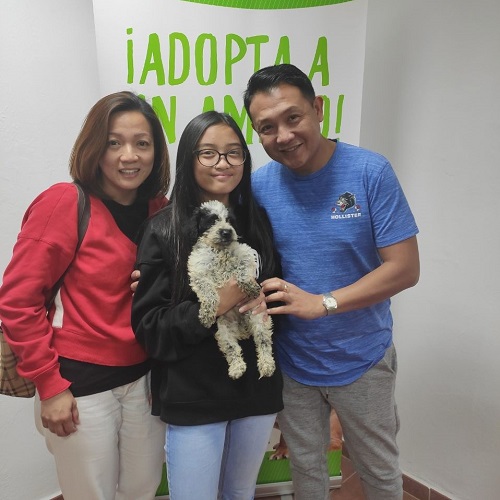 ¡Trastolillo adoptado!