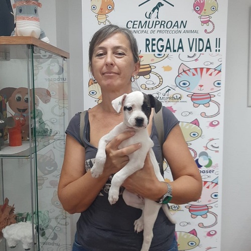 ¡Trisha adoptada!