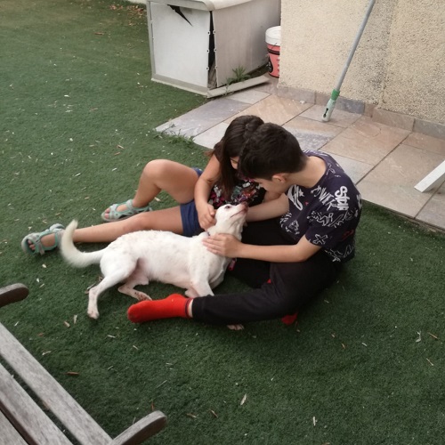 ¡Trisky adoptado!