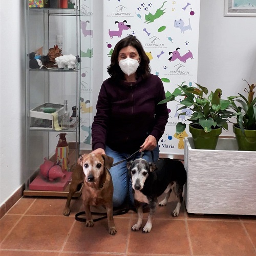 ¡Vareto y Cudillero adoptados!