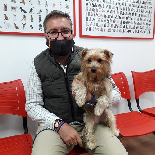 ¡Vencejo adoptado!
