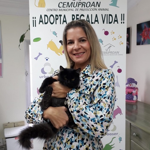 ¡Vesper adoptado!