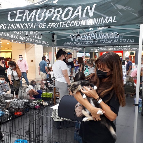 ¡Victorina adoptada!