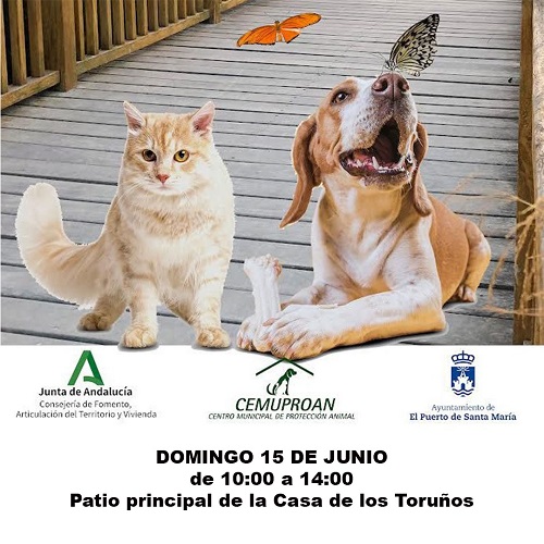 VIII JORNADA DE ADOPCIÓN ANIMAL DE LOS TORUÑOS