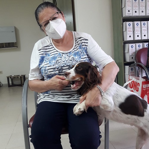 ¡Viki adoptada!