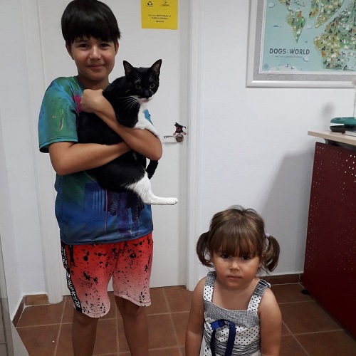 ¡Vileda adoptada!