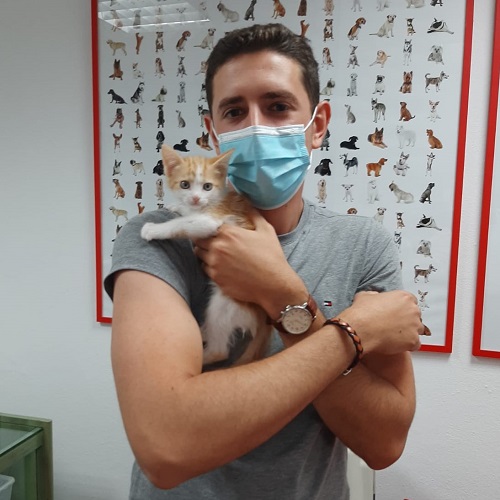 ¡Wadati adoptado!