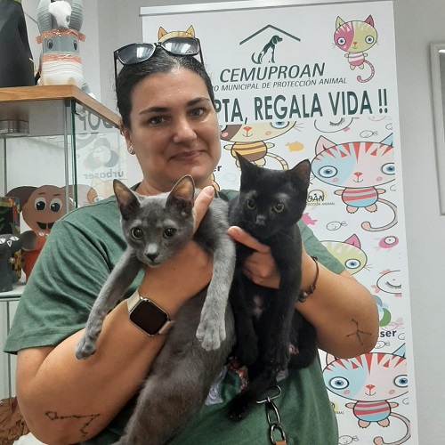 ¡Wakanda y Kasumi adoptados!