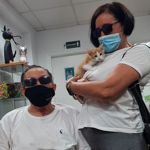 ¡Waze adoptado!