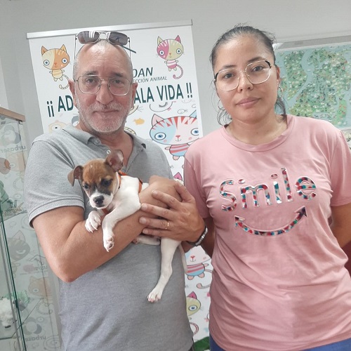 ¡Wilo adoptado!