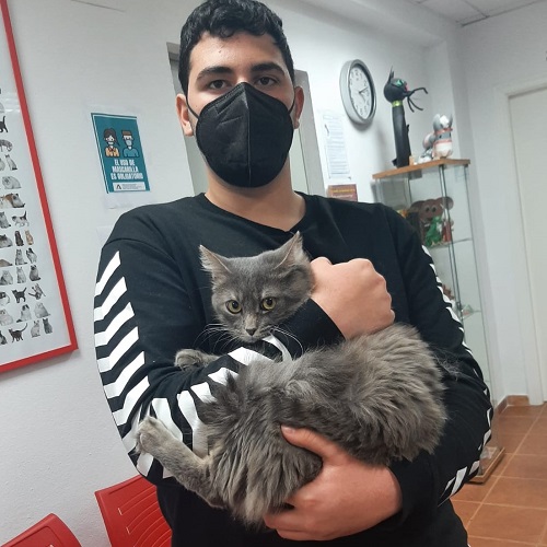 ¡Wizard adoptado!