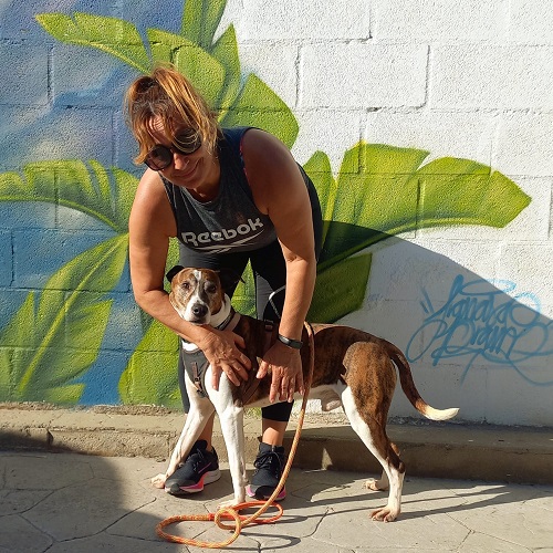 ¡Xacobeo adoptado!