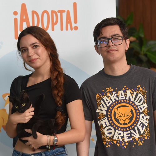 ¡Yitan adoptado!